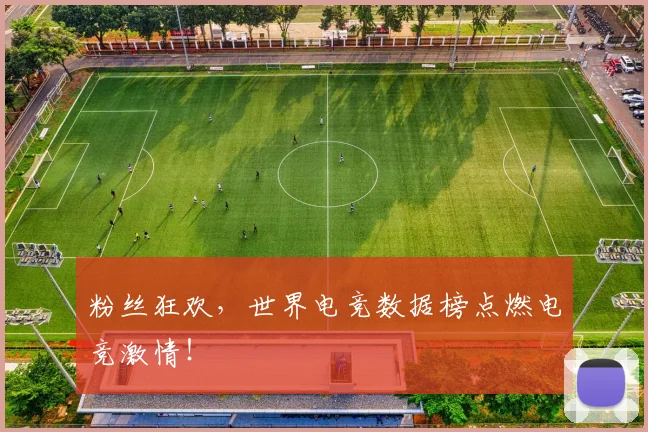 粉丝狂欢，世界电竞数据榜点燃电竞激情！