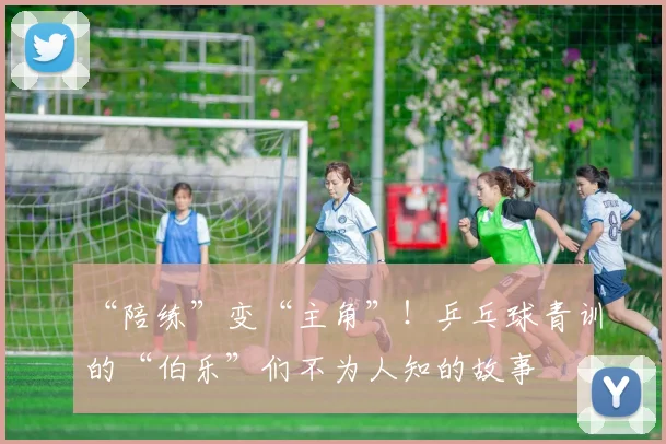 “陪练”变“主角”！乒乓球青训的“伯乐”们不为人知的故事