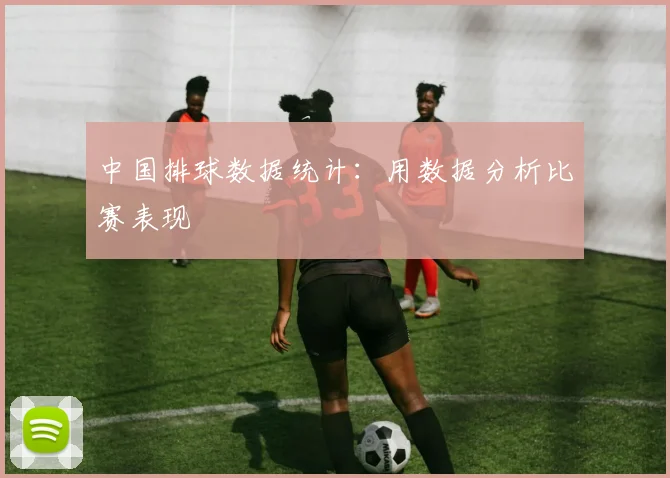 中国排球数据统计：用数据分析比赛表现