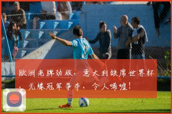 欧洲老牌劲旅，意大利缺席世界杯，无缘冠军争夺，令人唏嘘！